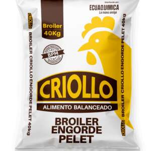 BROILER CRIOLLO ENGORDE PELET