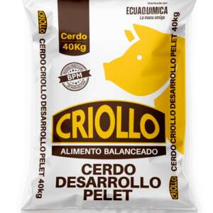 CERDO CRIOLLO DESARROLLO PELET