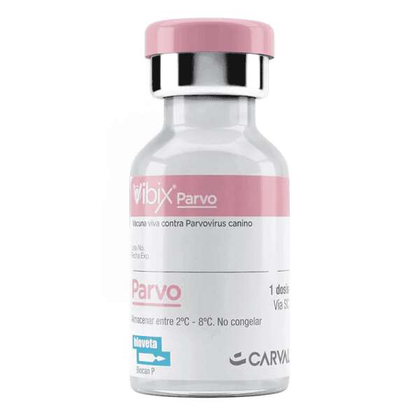 VIBIX PARVO