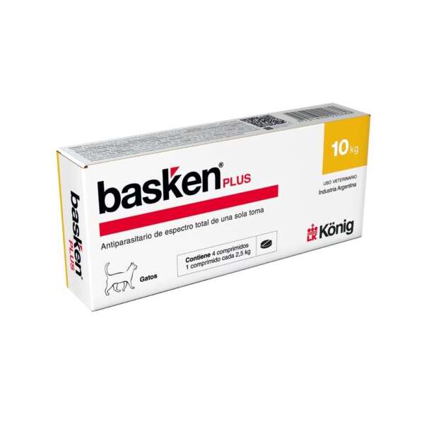 BASKEN PLUS