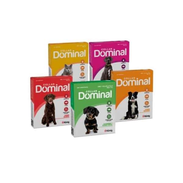 DOMINAL COLLAR