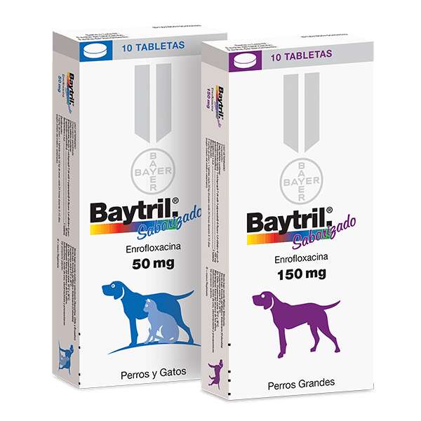BAYTRIL SABORIZADO