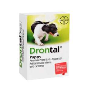DRONTAL PUPPY