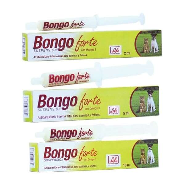 BONGO FORTE SUSPENSIÓN CON OMEGA 3