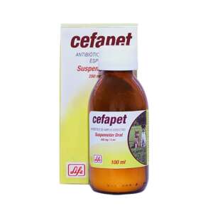 CEFAPET SUSPENSIÓN