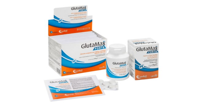 GLUTAMAX FORTE