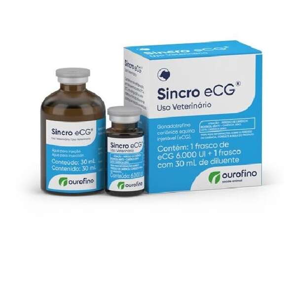 SINCRO ECG