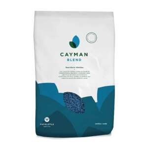 CAYMAN Brachiaria Híbrido