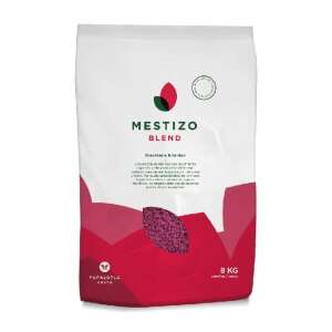 MESTIZO Brachiaria Híbrido