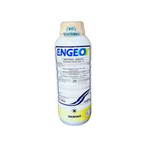 ENGEO