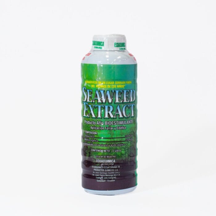 SEAWEED EXTRACT