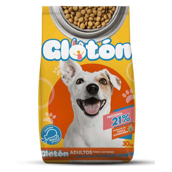 GLOTON ADULTOS