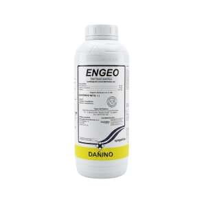 Engeo