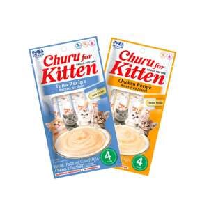 CHURU KITTEN