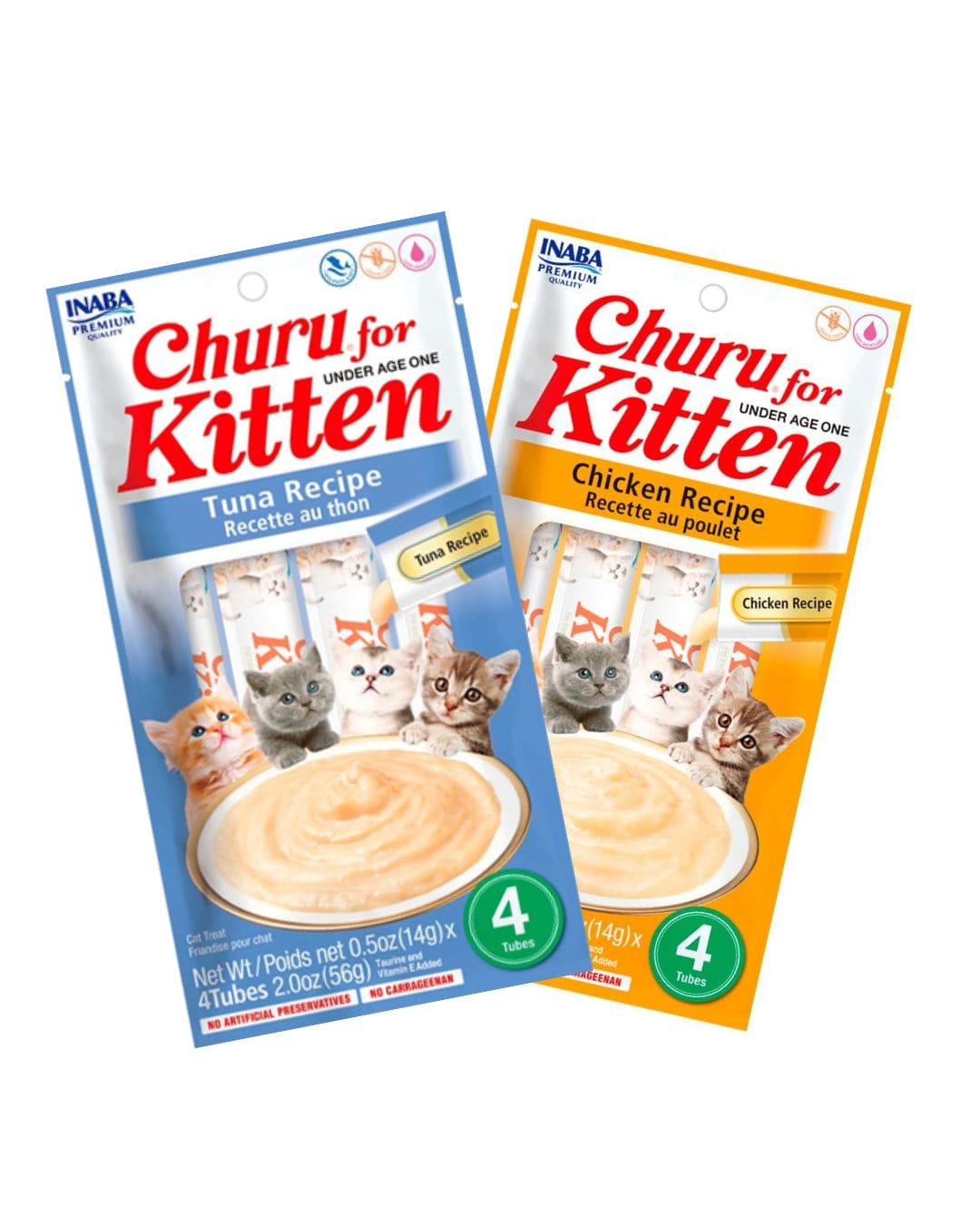 CHURU KITTEN