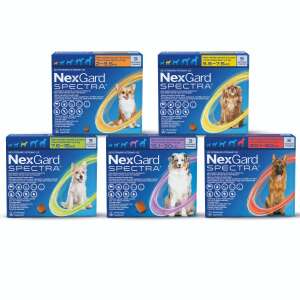 NEXGARD SPECTRA
